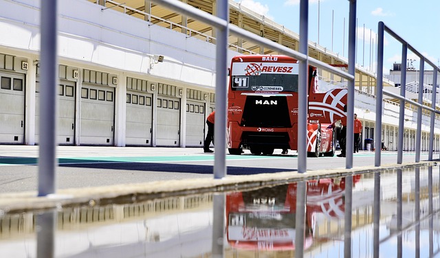 心理素质和 心理素质和