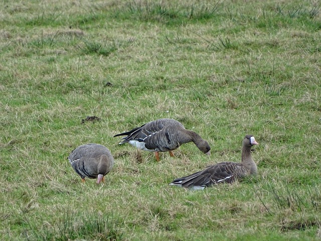 另一场比赛 另一场比赛
