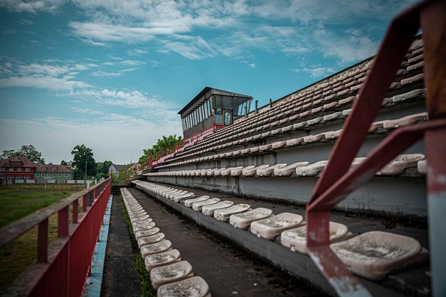 广泛的粉丝 广泛的粉丝