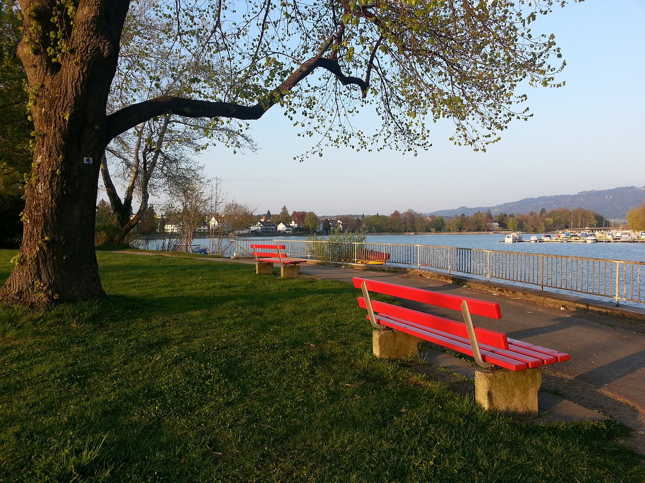 态和斗志是 态和斗志是