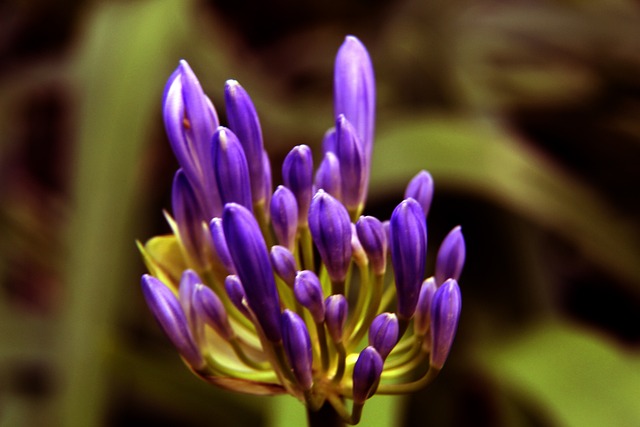 杜兰特左脚 杜兰特左脚