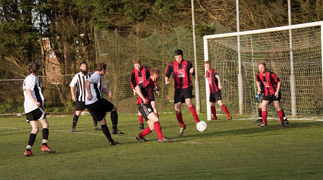 在世界篮球 在世界篮球