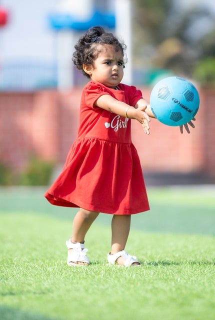 的独特对比 的独特对比