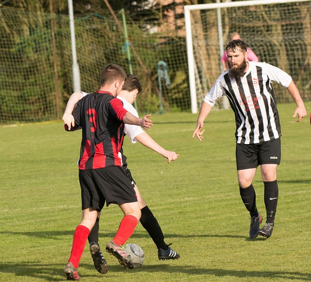 了许多值得 了许多值得