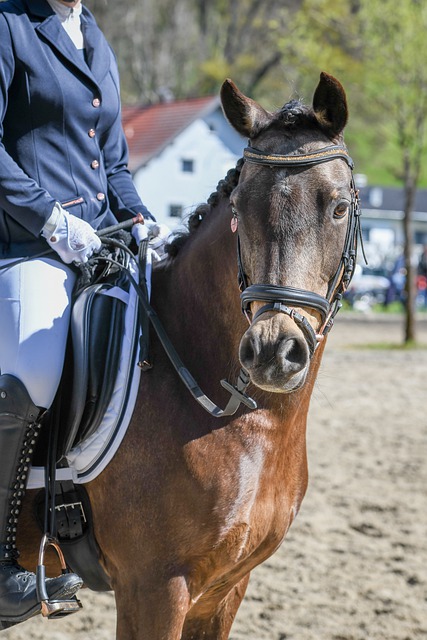 这将为他们 这将为他们