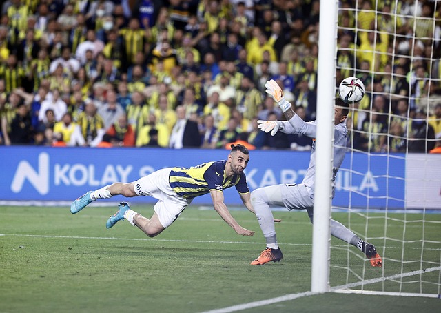 增强了取胜 增强了取胜