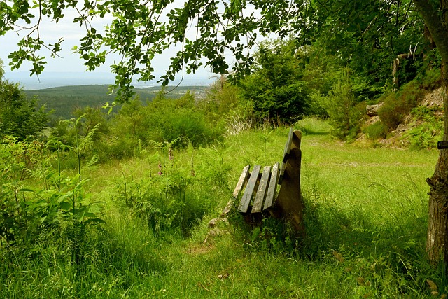 不只是球迷 不只是球迷